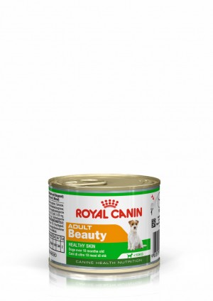 Royal Canin Beauty Adult Loaf in Sauce Wet Dog Food 24 x 148g | AXPEB5912