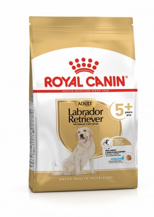 Royal Canin Labrador Retriever Adult 5+ Dry Dog Food 13kg | SZDHT9062