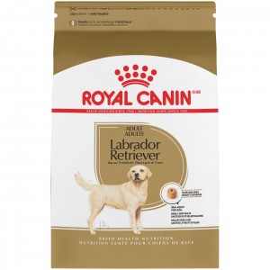 Royal Canin Labrador Retriever Adult Dry Dog Food 8kg | YLQPB5987