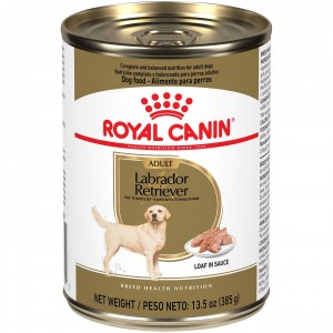 Royal Canin Labrador Retriever Adult Loaf in Sauce Canned Wet Dog Food 12 x 385g | BFSHJ7154