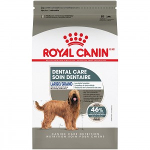 Royal Canin Large Dental Care Dry Dog Food 14kg | QITHZ1605