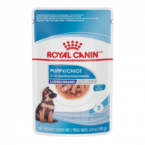 Royal Canin Large Puppy Chunks in Gravy Pouch Wet Dog Food 10 x 140g | PUNDL4769