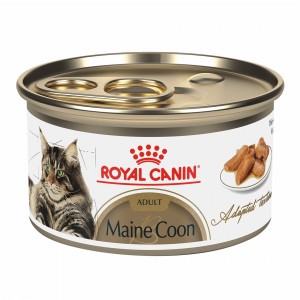 Royal Canin Maine Coon Adult Thin Slices in Gravy Canned Wet Cat Food 24 x 85g | MPBHU4598