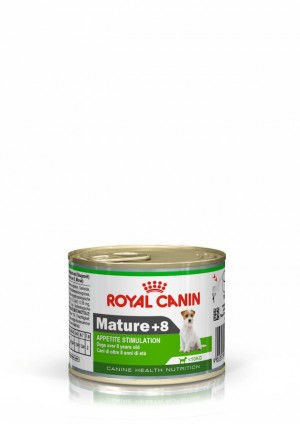 Royal Canin Mature 8+ Loaf in Sauce Canned Wet Dog Food 1 x 150g | JQDMG3074