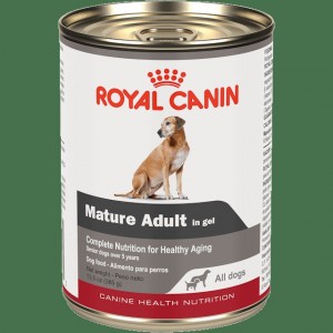 Royal Canin Mature Adult in Gel Canned Wet Dog Food 12 x 385g | TPBZA5694