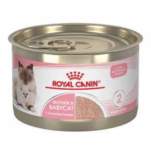 Royal Canin Mother & Babycat Ultra Soft Mousse in Sauce Canned Wet Cat Food 24 x 145g | KEJAY7089