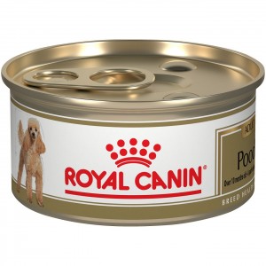 Royal Canin Poodle Adult Loaf in Sauce Canned Wet Dog Food 4 x 85g | PVXCR8135