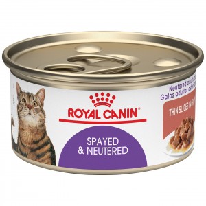 Royal Canin Spayed & Neutered Thin Slices in Gravy Canned Wet Cat Food 24 x 85g | RWTNL7641