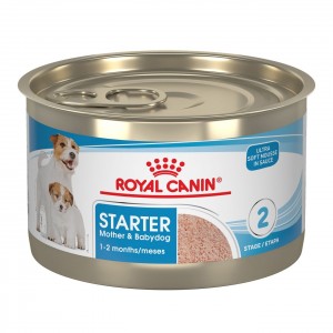 Royal Canin Starter Mother & Babydog Ultra Soft Mousse In Sauce Wet Dog Food 24 x 145g | AUESM5824