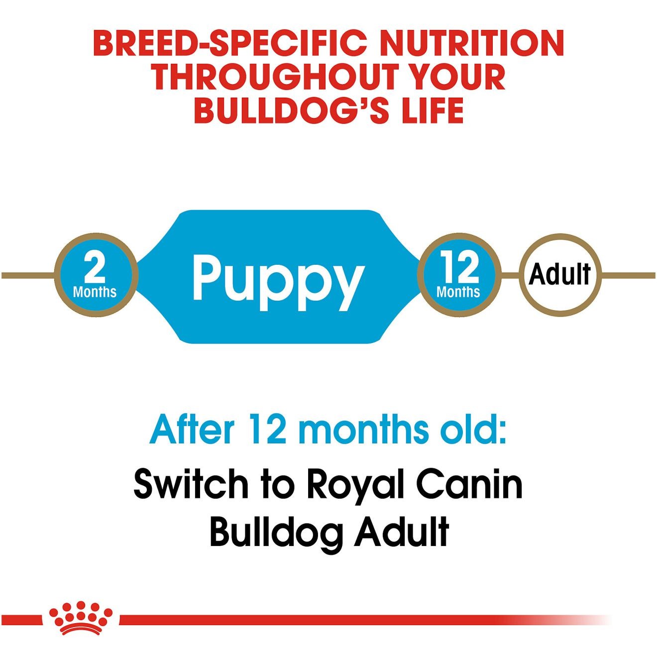 Royal Canin Bulldog Puppy Dry Dog Food 3kg | NHMRS9145