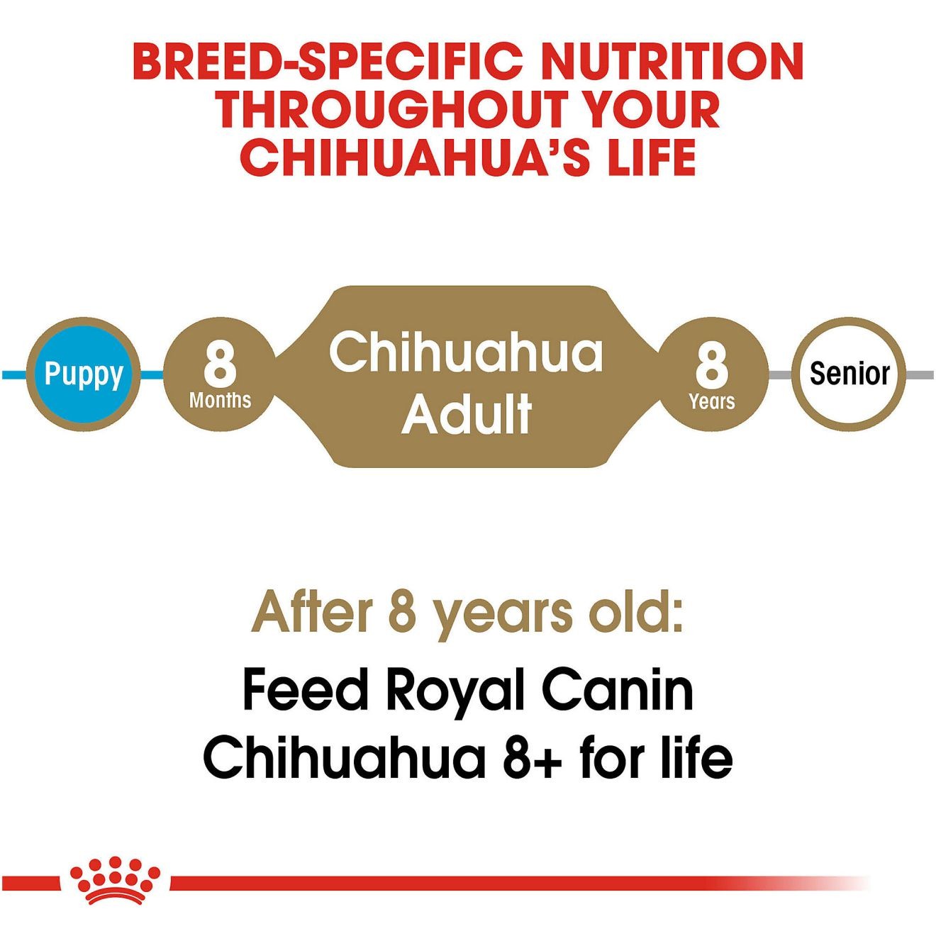 Royal Canin Chihuahua Adult Dry Dog Food 1kg | MDSFJ2043