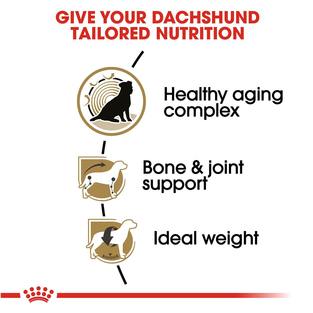 Royal Canin Dachshund 8+ Adult Dry Dog Food 1.5kg | FHLCB7345