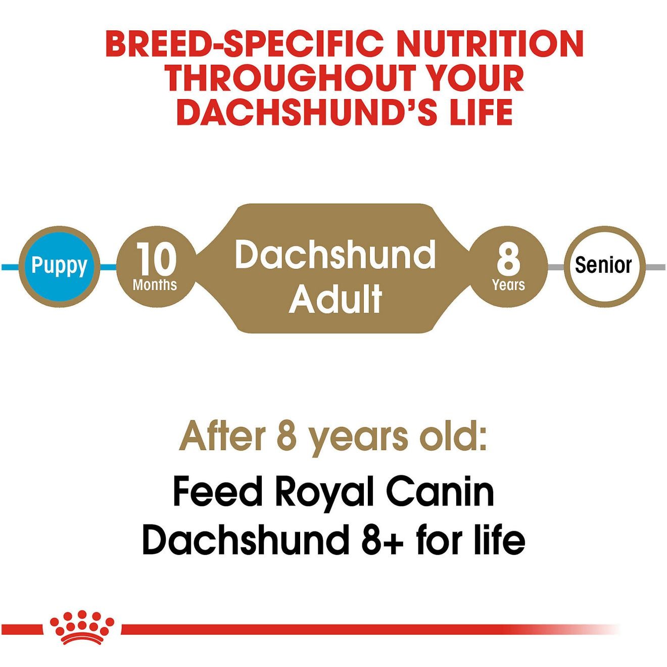 Royal Canin Dachshund Adult Dry Dog Food 1kg | PLYZD8209