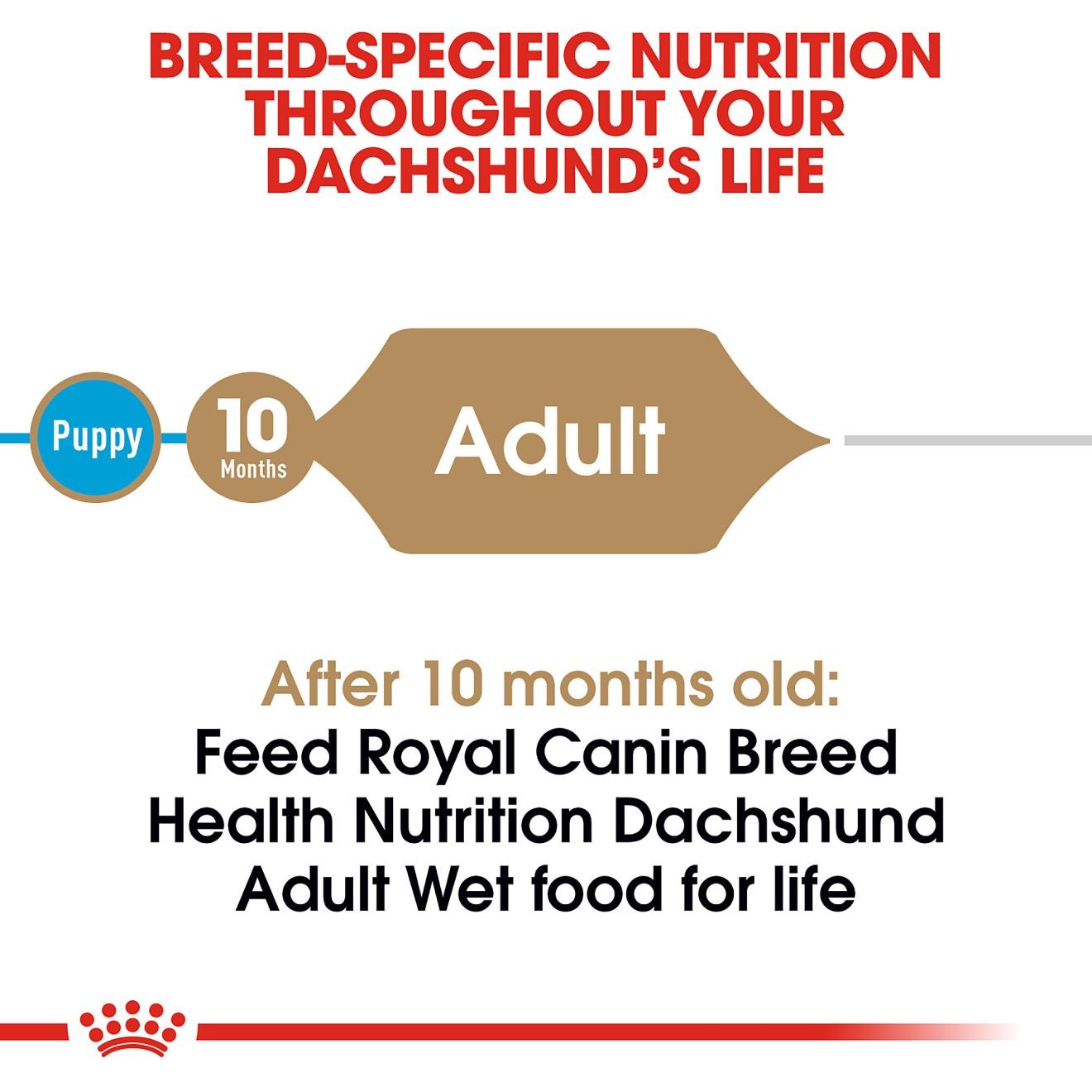 Royal Canin Dachshund Adult Loaf in Sauce Canned Wet Dog Food 24 x 85g | DBEYP9827