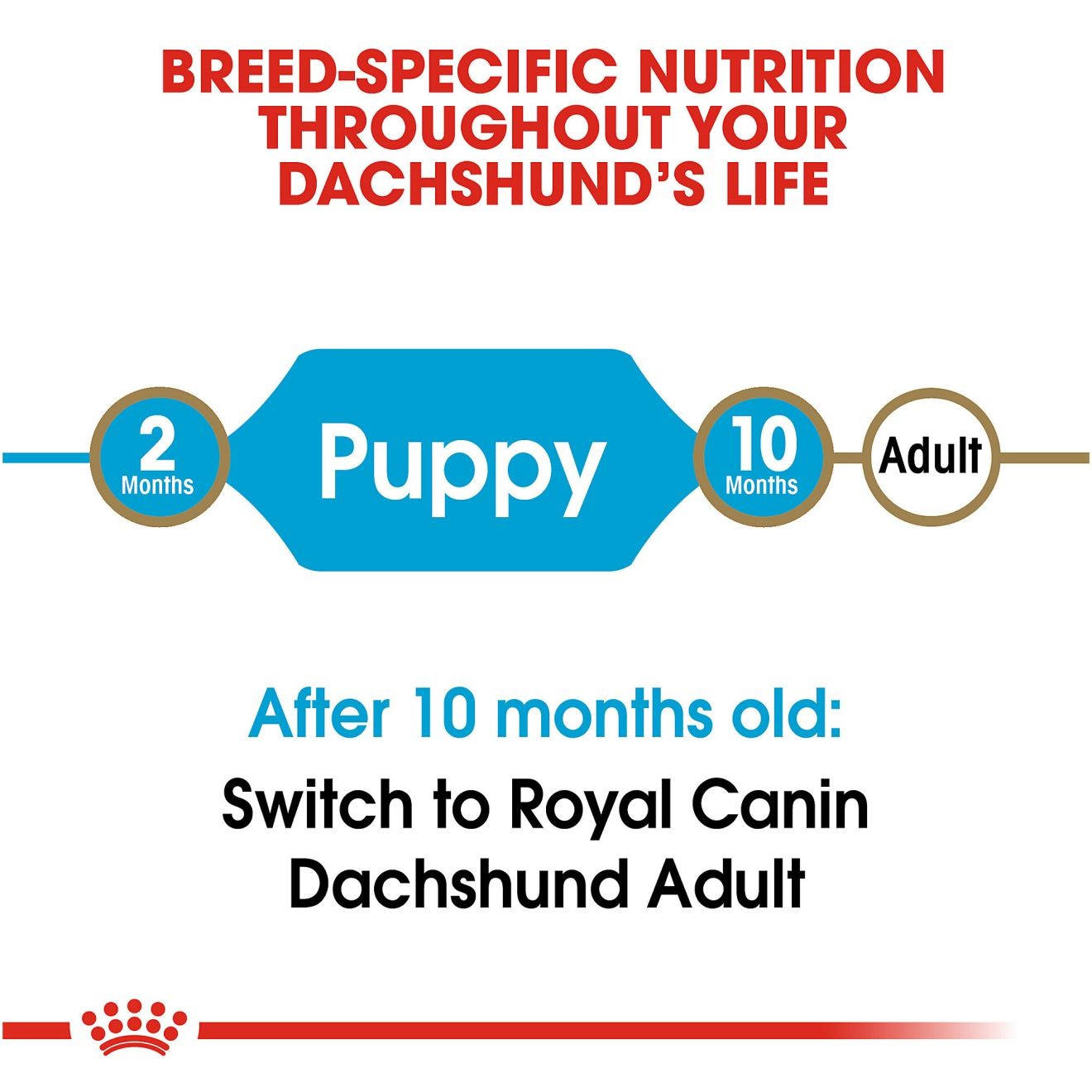 Royal Canin Dachshund Puppy Dry Dog Food 1kg | PBQGL0176