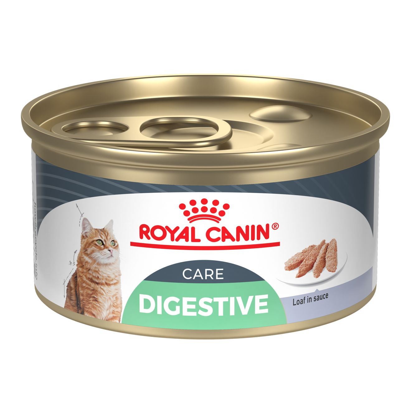 Royal Canin Digestive Care Loaf In Sauce Wet Cat Food 24 x 85g | BKRNV4397