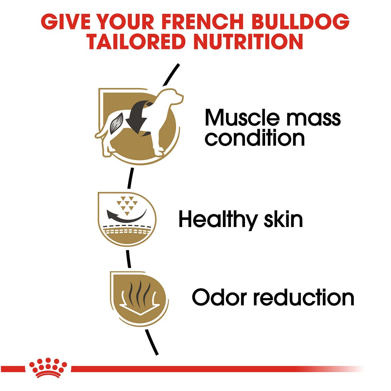 Royal Canin French Bulldog Adult Dry Dog Food 8kg | BHFDL5489