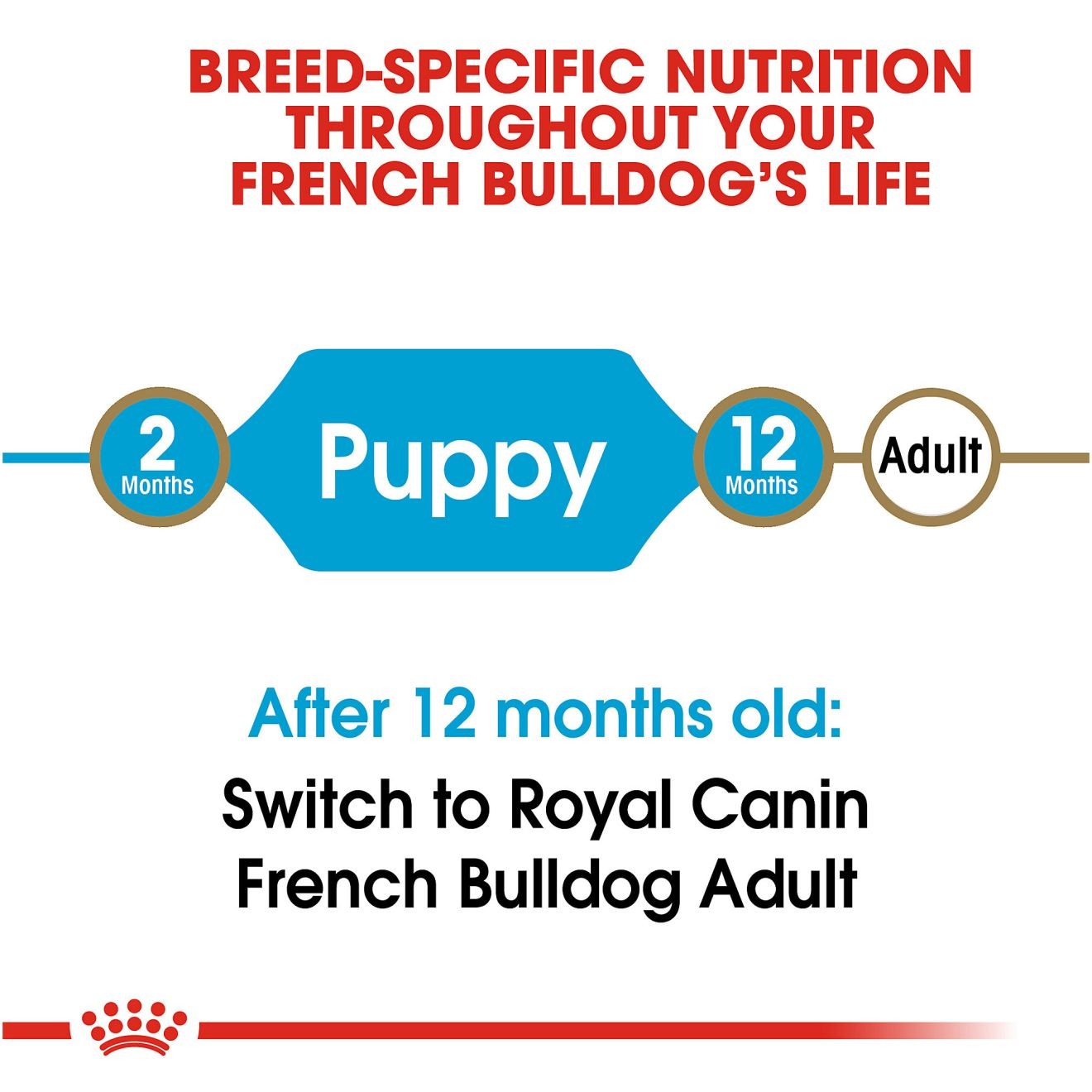 Royal Canin French Bulldog Puppy Dry Dog Food 1.5kg | FSEDH1970