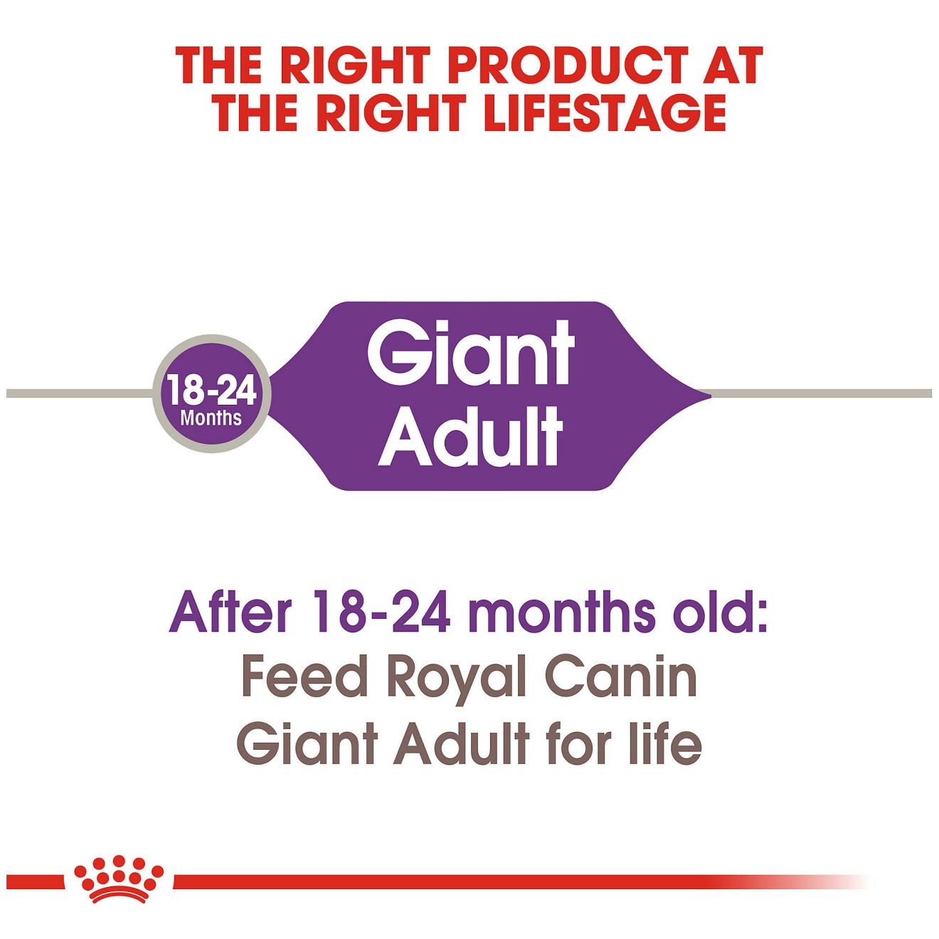 Royal Canin Giant Adult Dry Dog Food 14kg | NRXWZ7520