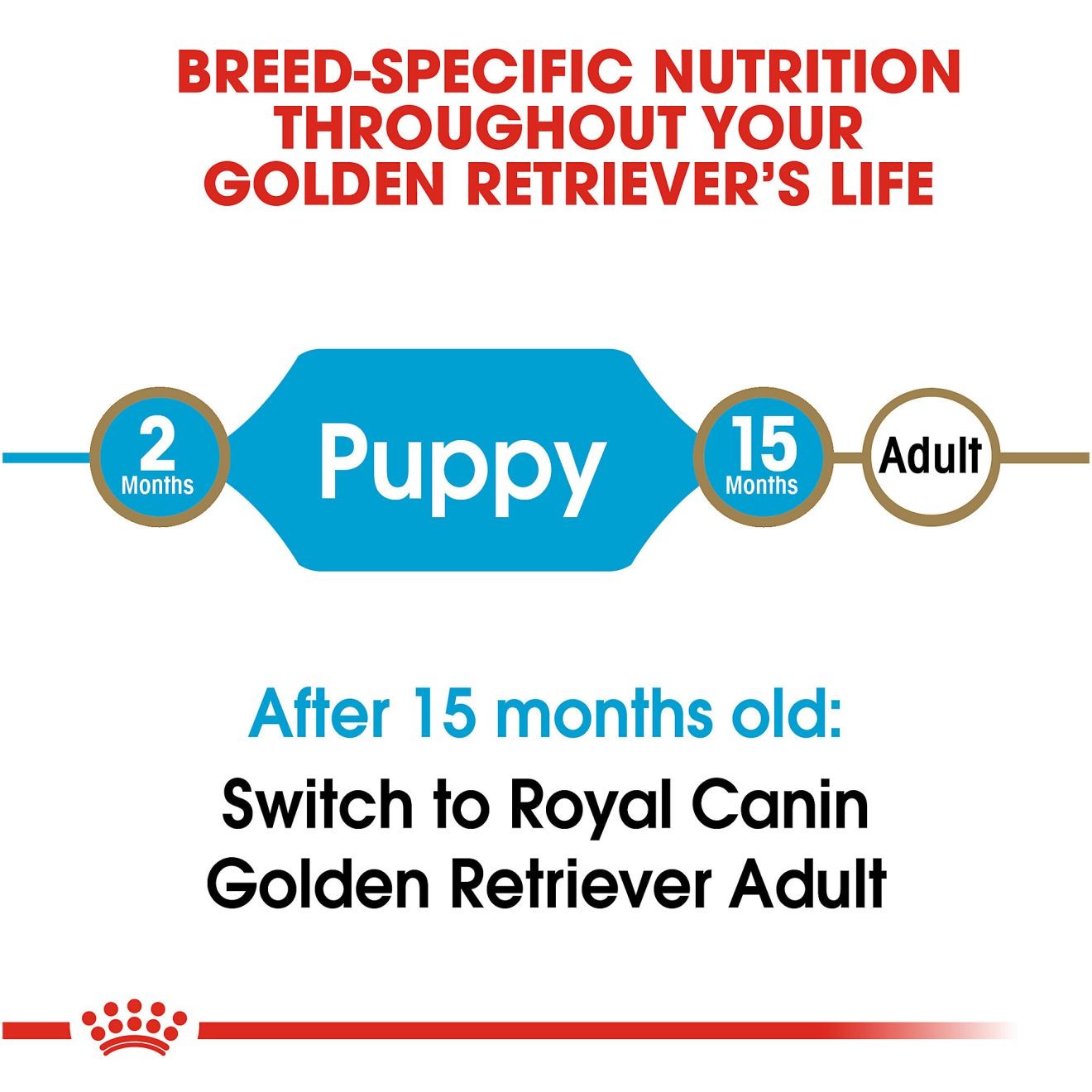 Royal Canin Golden Retriever Puppy Dry Dog Food 14kg | MDYCE9408