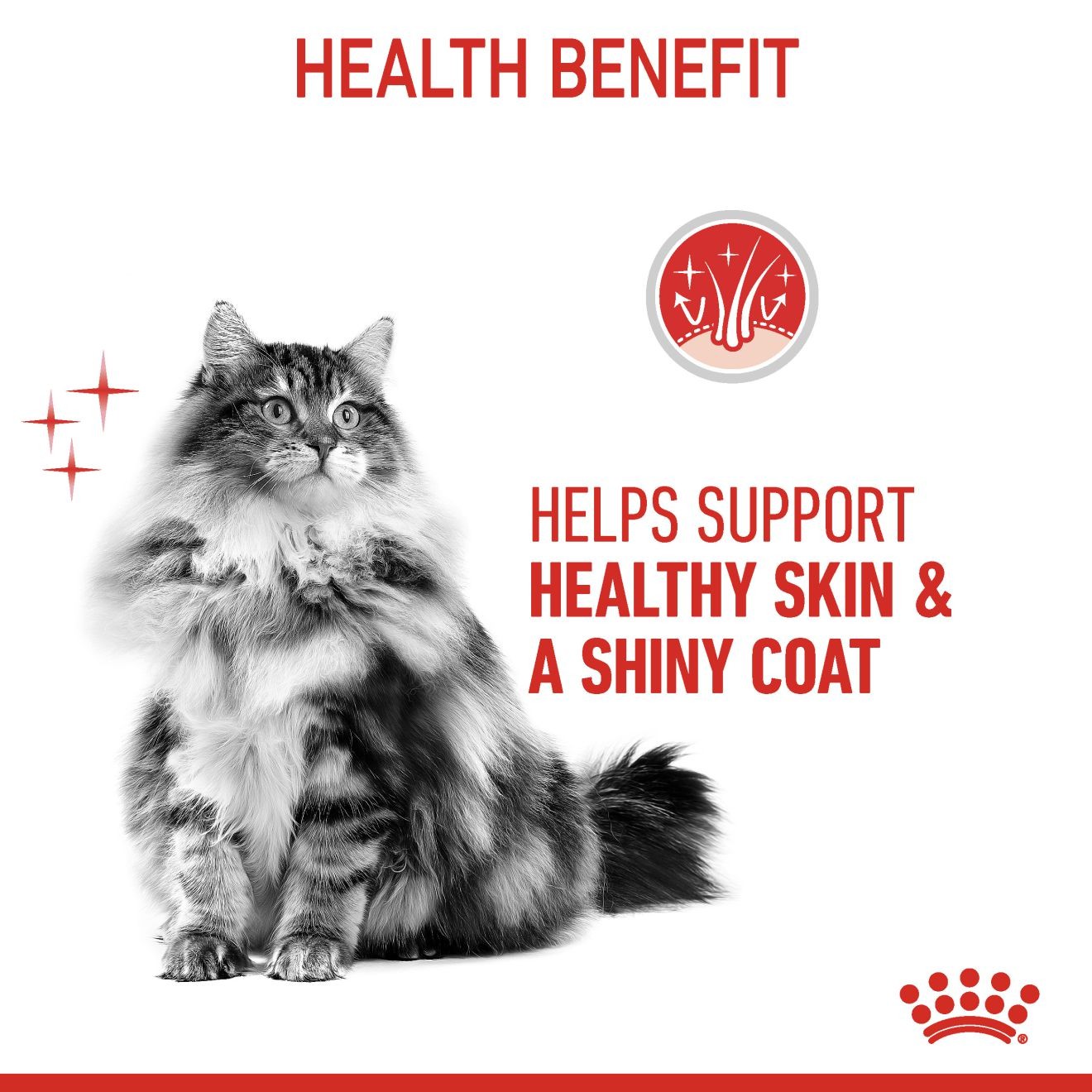 Royal Canin Hair & Skin Care Dry Cat Food 1.5kg | RJHOC7598