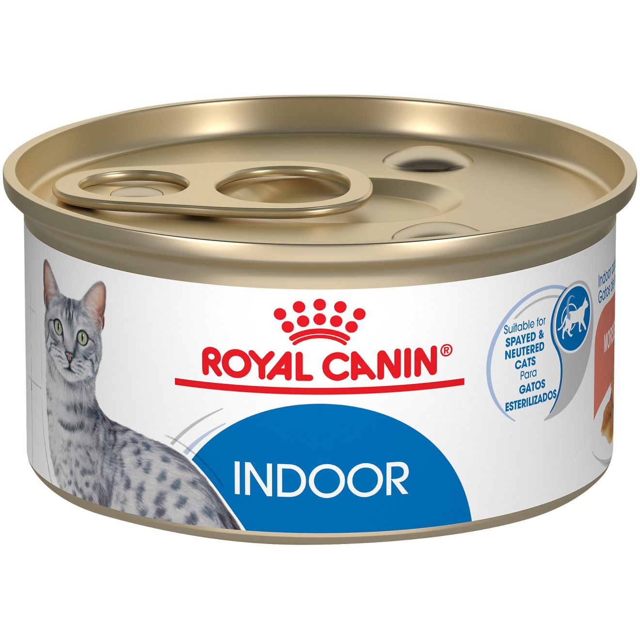 Royal Canin Indoor Adult Morsels in Gravy Canned Wet Cat Food 24 x 85g | MXEAC4150