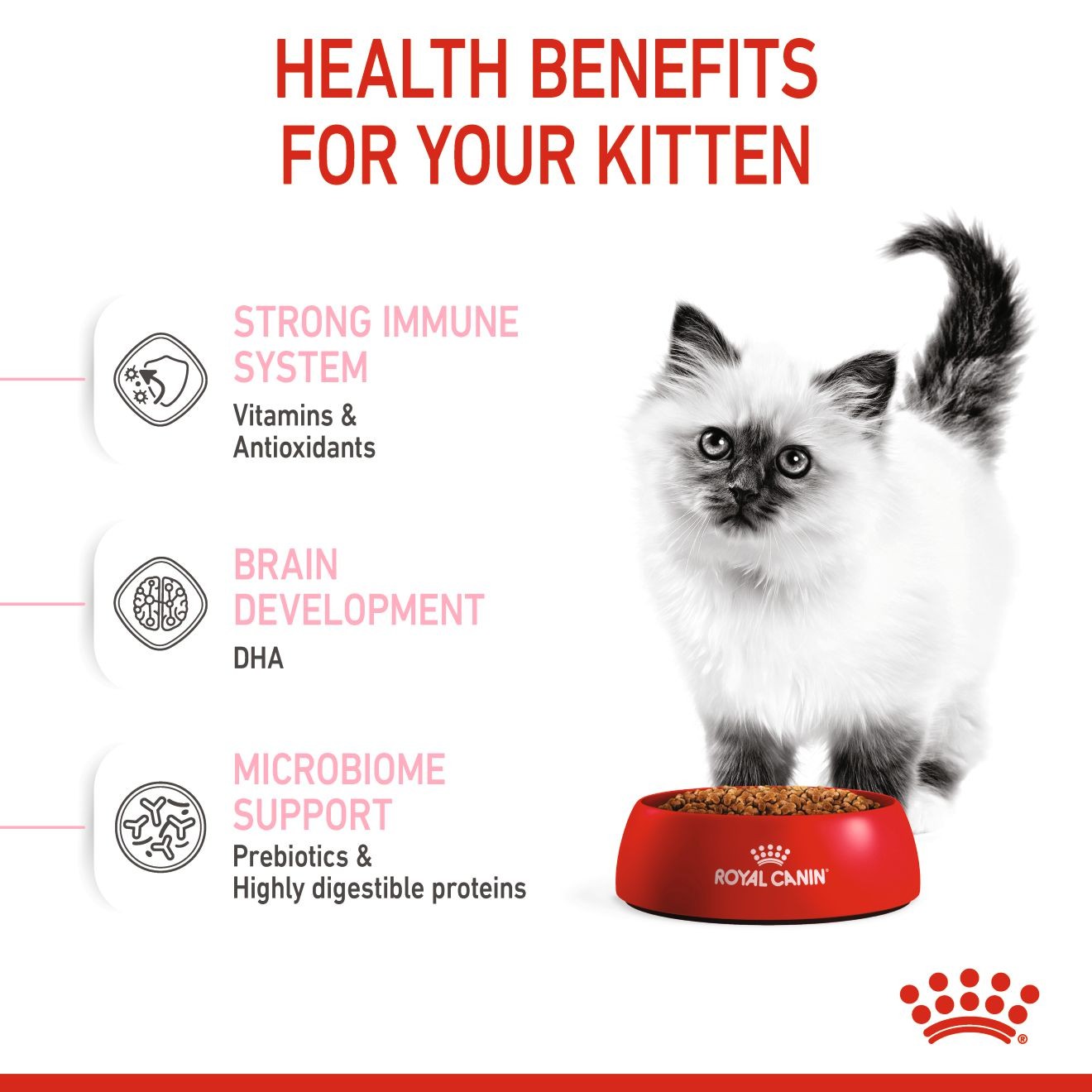 Royal Canin Kitten Dry Cat Food 10kg | FXIMK0438