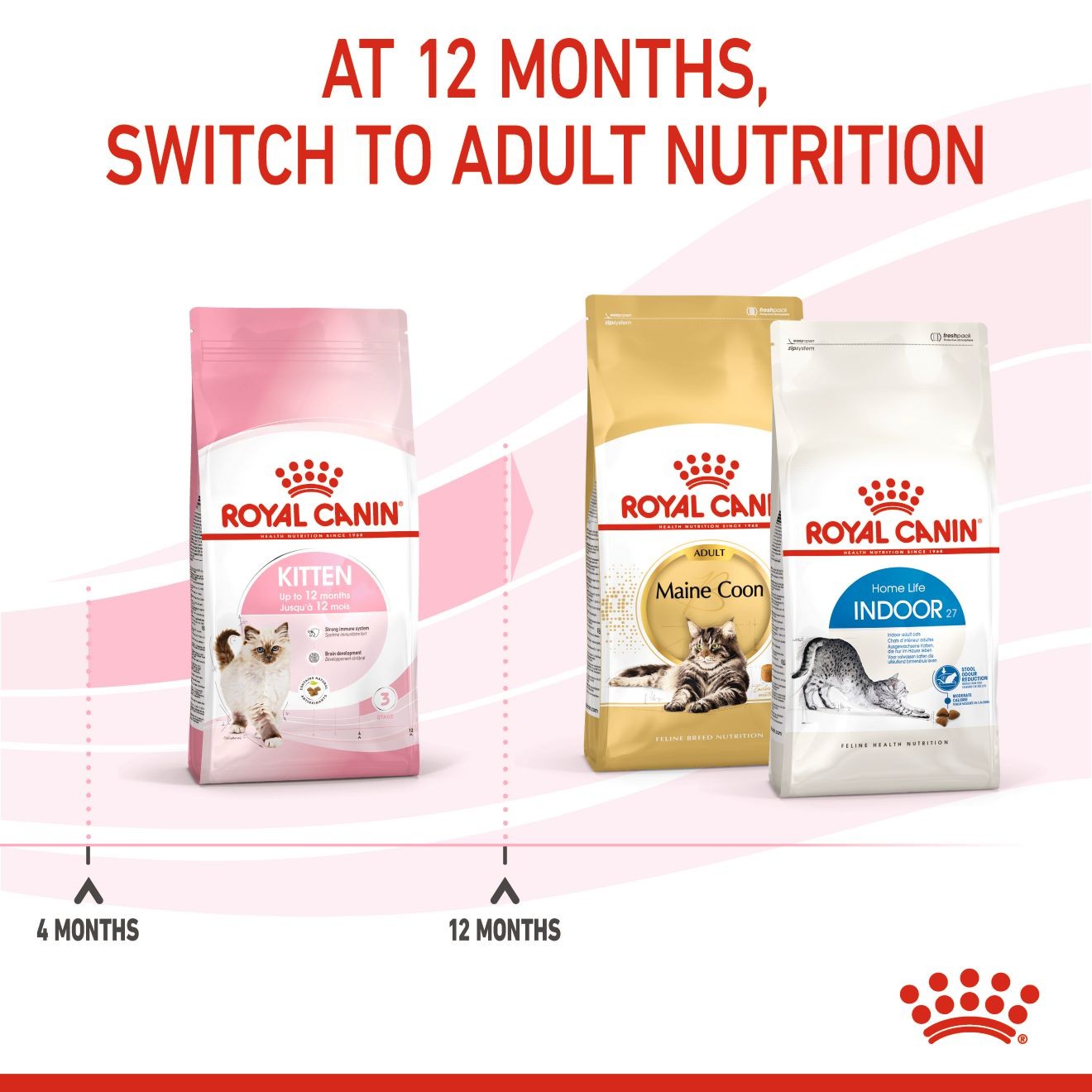 Royal Canin Kitten Dry Cat Food 10kg | FXIMK0438