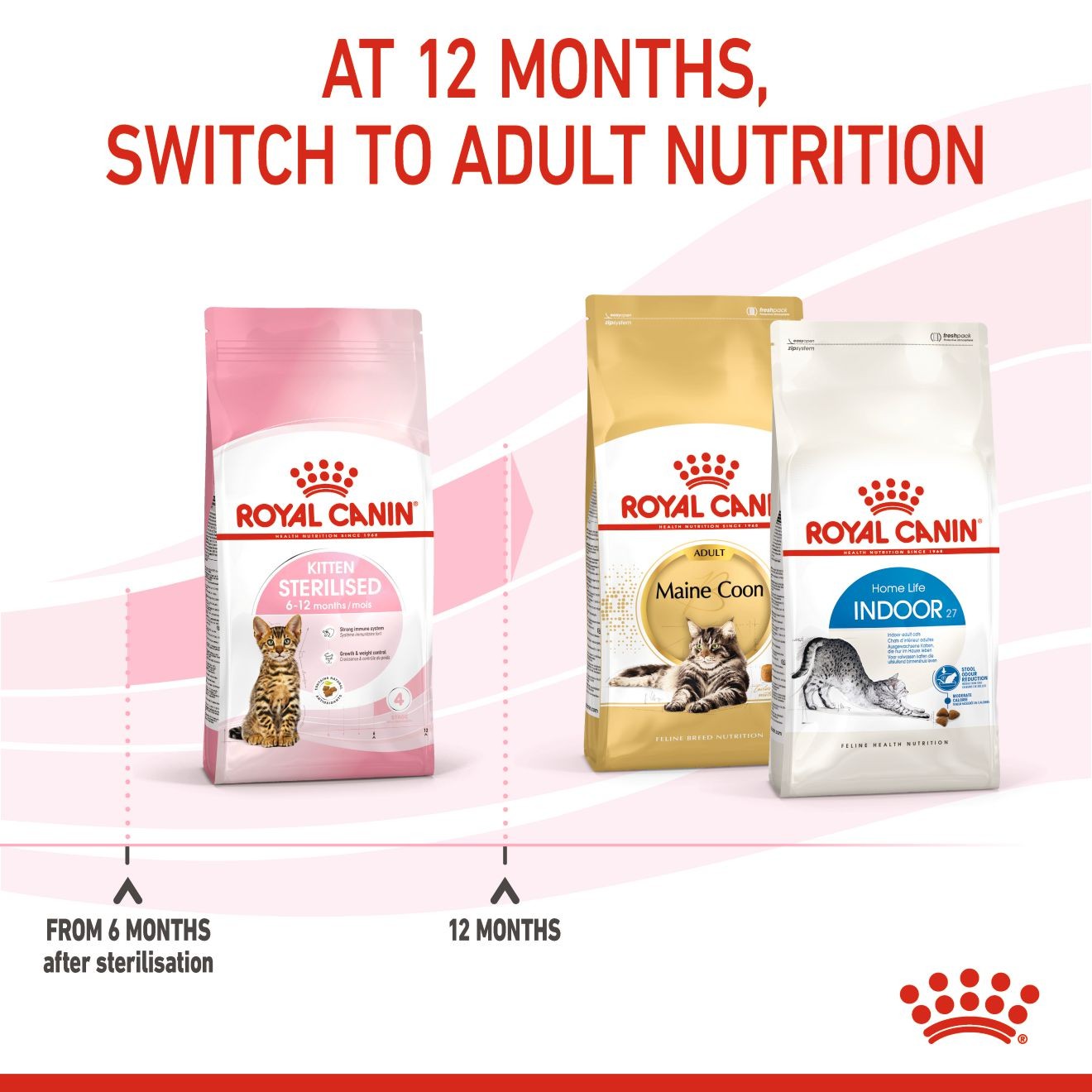 Royal Canin Kitten Spayed/Neutered Dry Cat Food 1kg | LUQSH2078