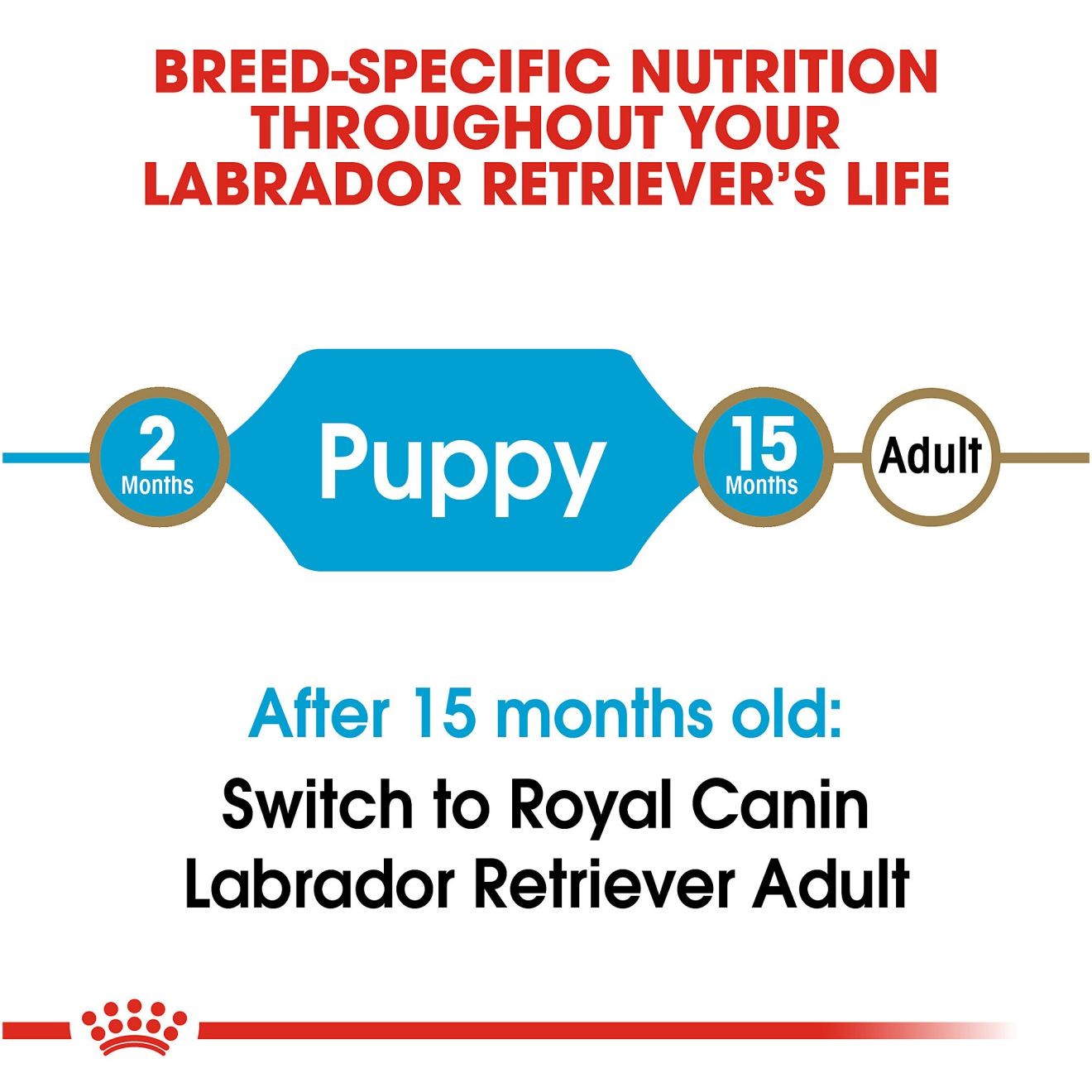 Royal Canin Labrador Retriever Puppy Dry Dog Food 14kg | WTVRO7819