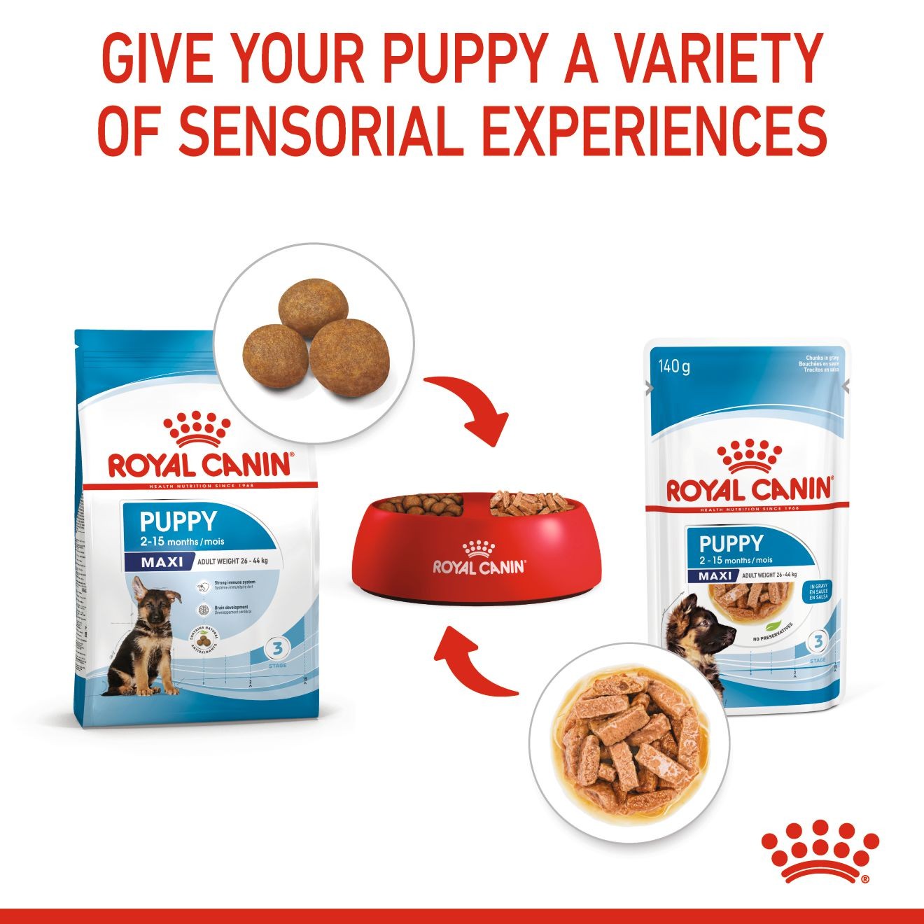 Royal Canin Large Puppy Chunks in Gravy Pouch Wet Dog Food 10 x 140g | PUNDL4769