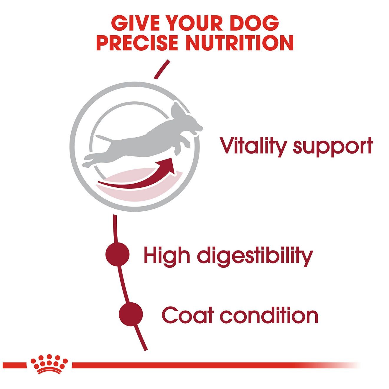 Royal Canin Medium Adult 7+ Dry Dog Food 14kg | YDCPQ2894