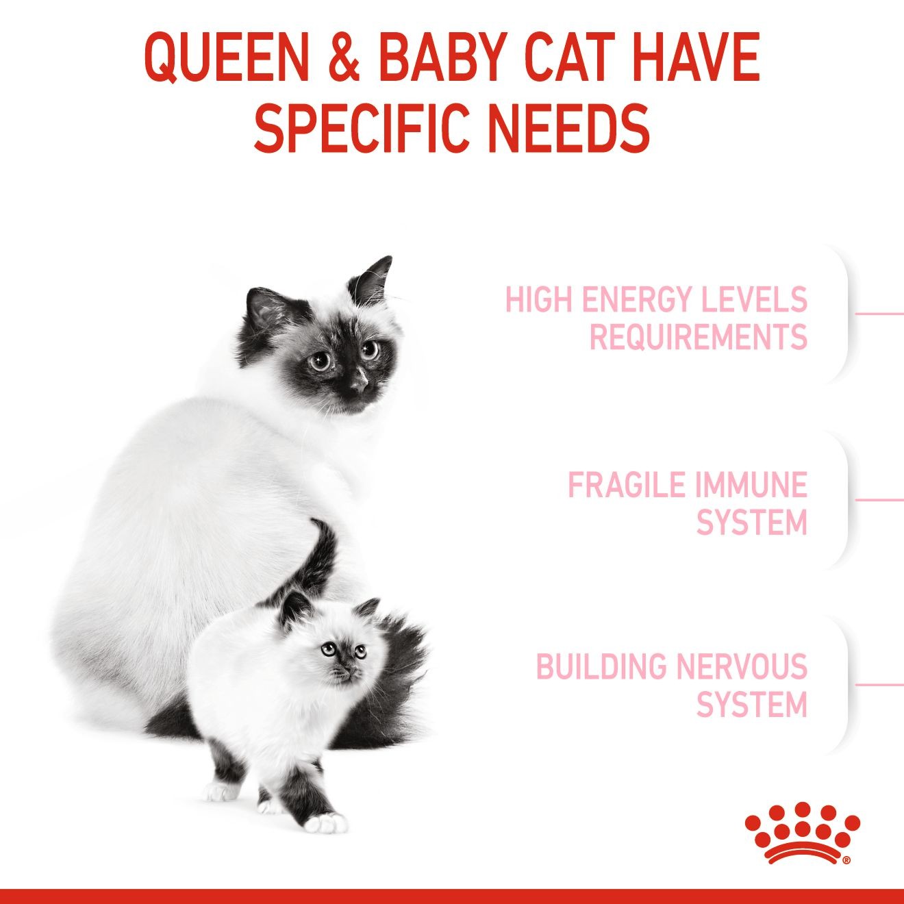 Royal Canin Mother & Babycat Dry Cat Food 3kg | MKGUQ8054