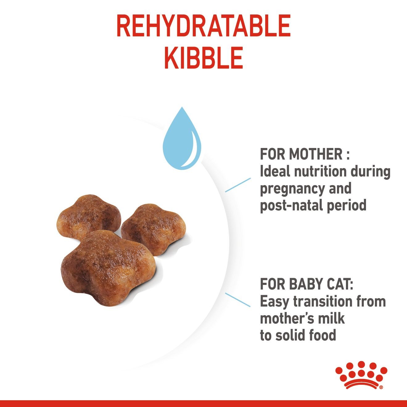 Royal Canin Mother & Babycat Dry Cat Food 3kg | MKGUQ8054