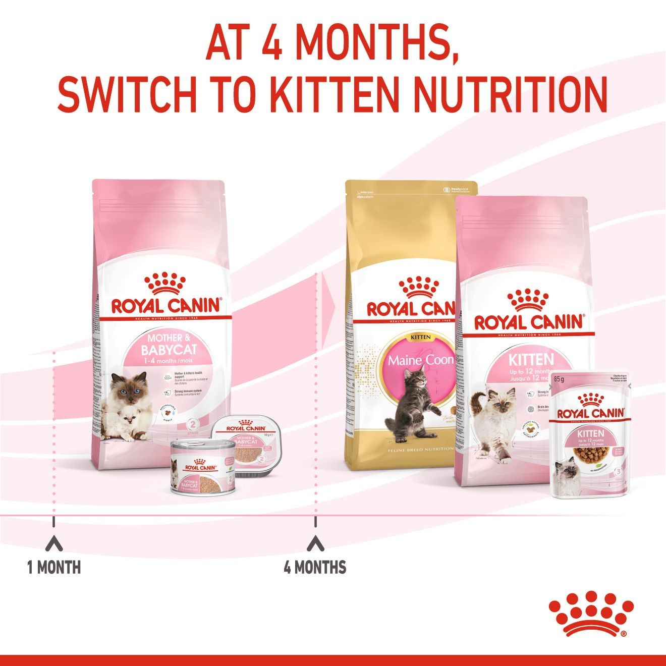 Royal Canin Mother & Babycat Dry Cat Food 3kg | MKGUQ8054