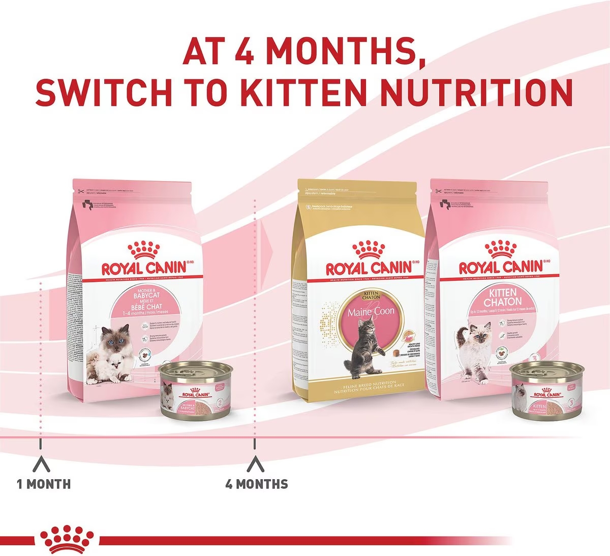 Royal Canin Mother & Babycat Ultra Soft Mousse in Sauce Canned Wet Cat Food 6 x 85g | LVIUY9572