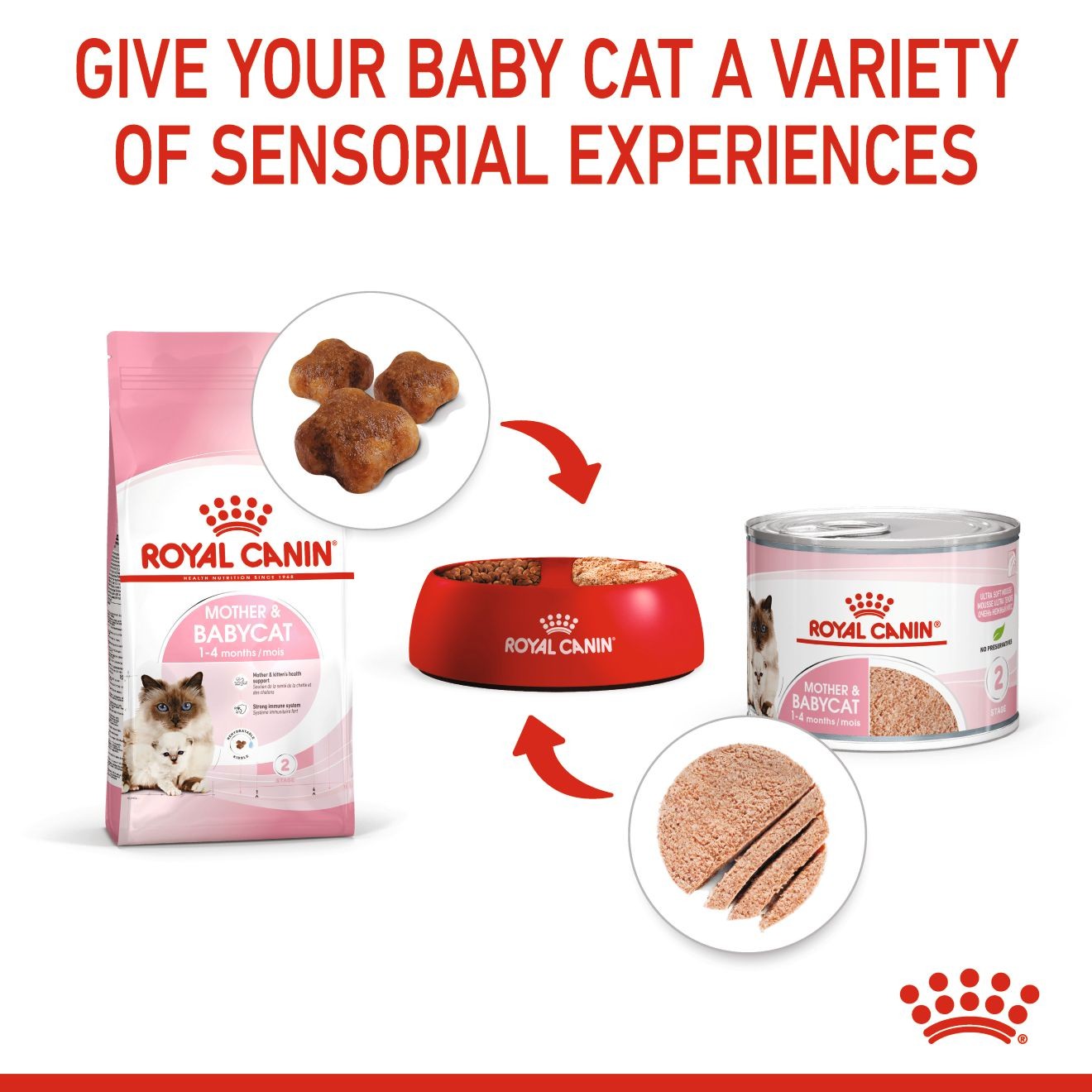 Royal Canin Mother & Babycat Ultra Soft Mousse in Sauce Canned Wet Cat Food 24 x 145g | KEJAY7089