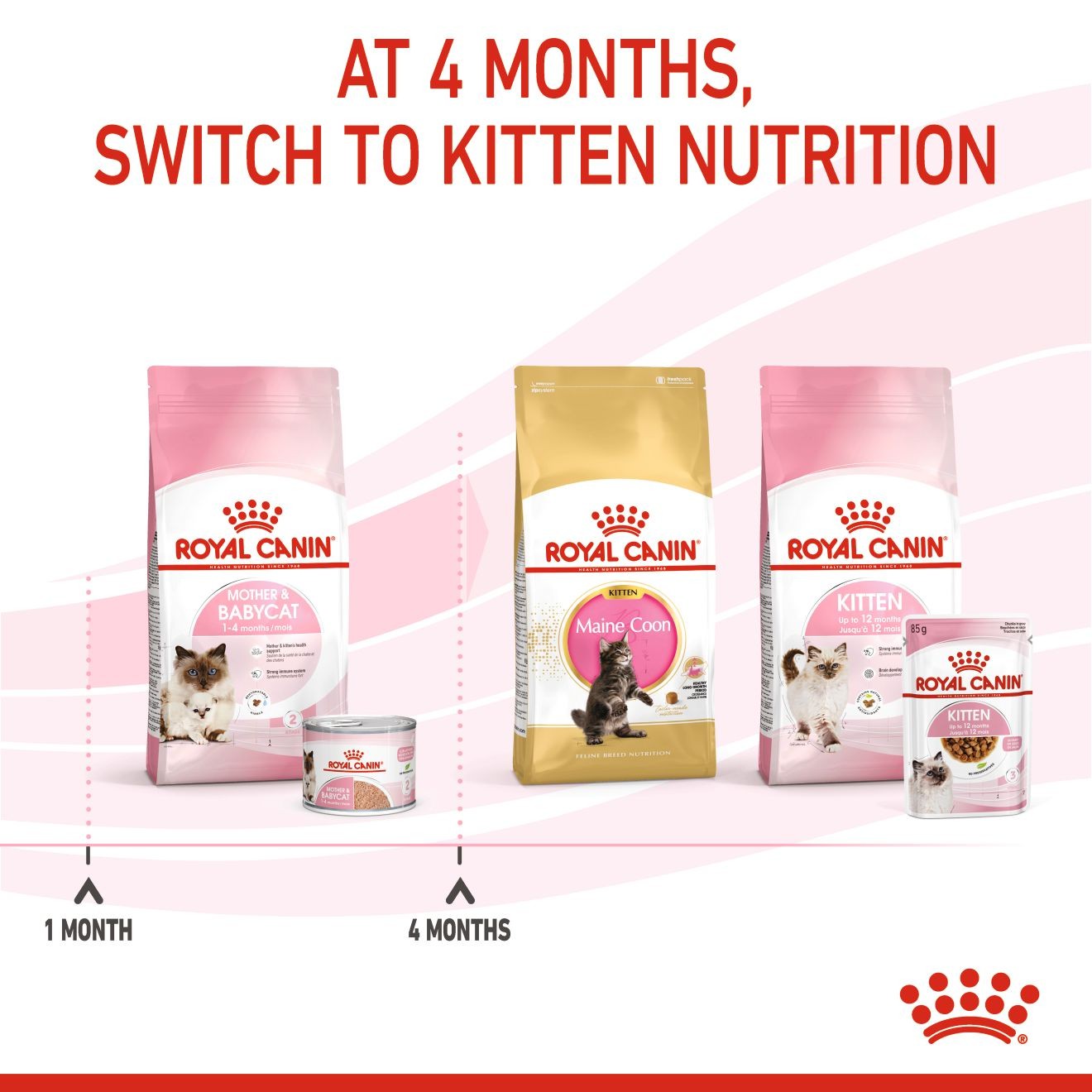 Royal Canin Mother & Babycat Ultra Soft Mousse in Sauce Canned Wet Cat Food 24 x 145g | KEJAY7089