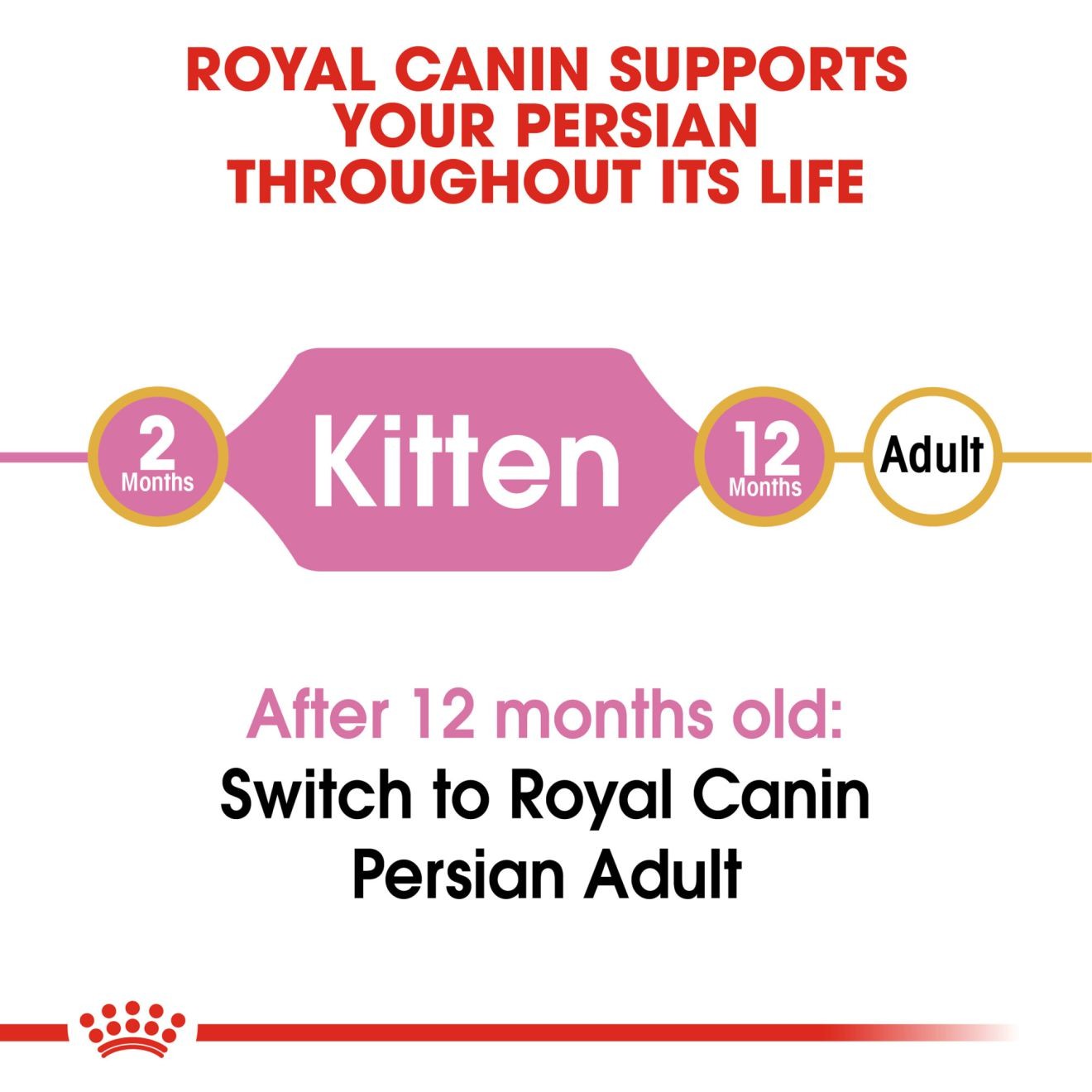 Royal Canin Persian Kitten Dry Cat Food 1.5kg | MCXJP6914