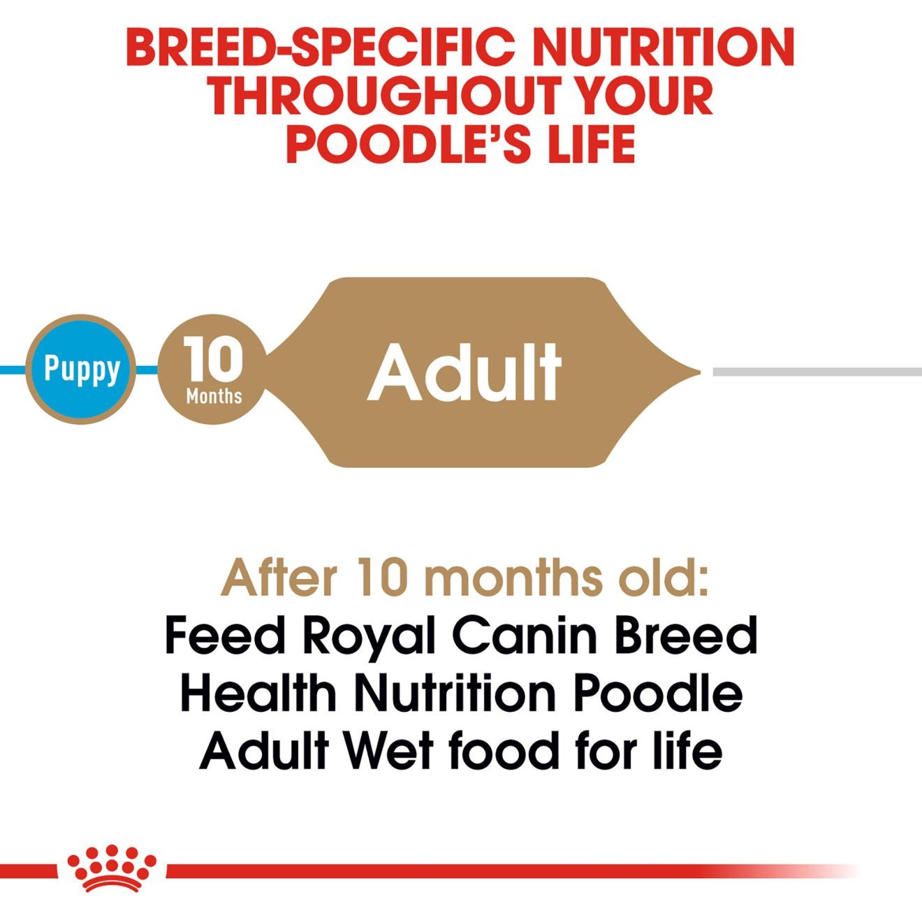 Royal Canin Poodle Pouch Wet Dog Food 4 x 85g | XSIDK0982