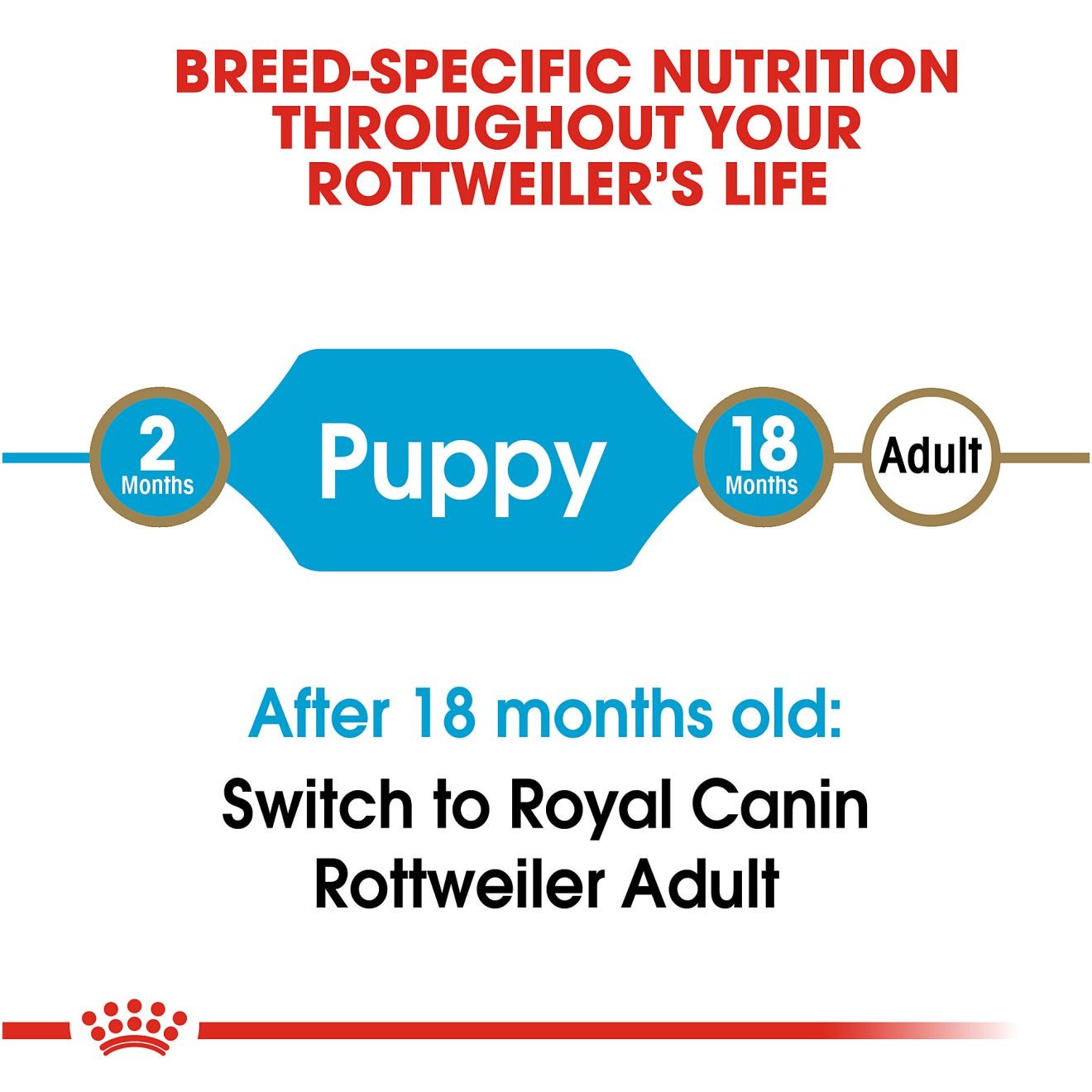 Royal Canin Rottweiler Puppy Dry Dog Food 14kg | VYXPF6813