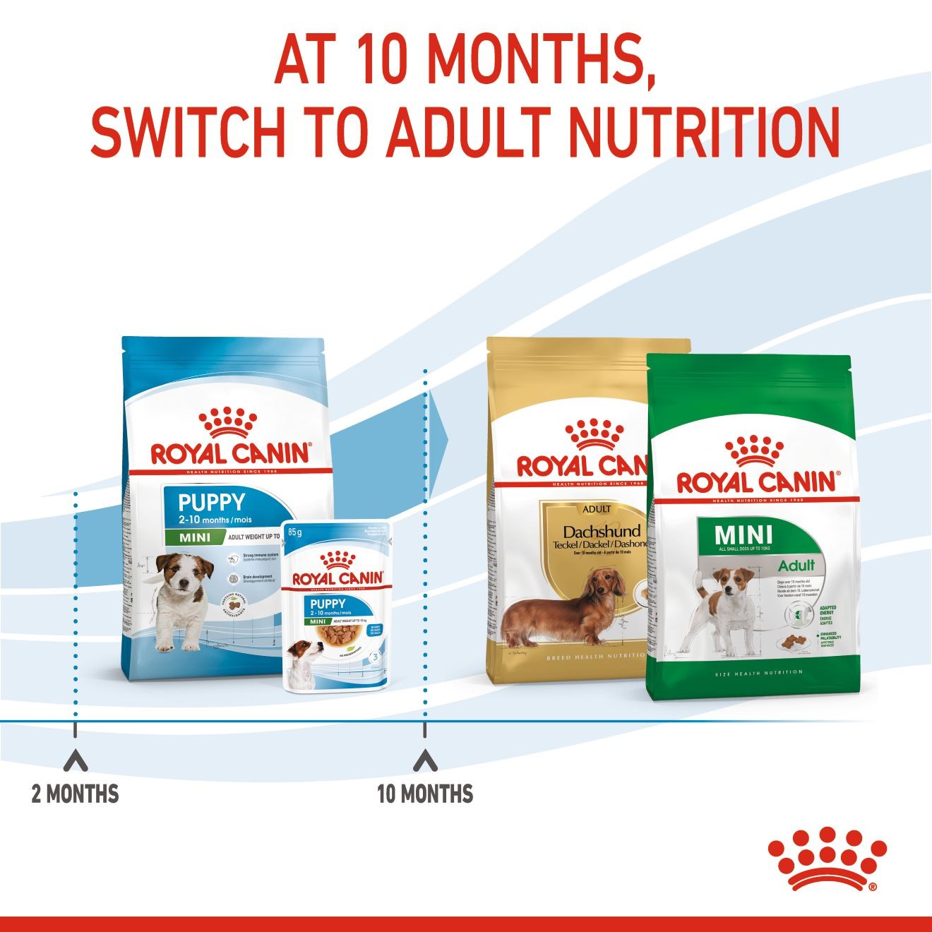 Royal Canin Small Puppy Dry Dog Food 1kg | UAGTV9326