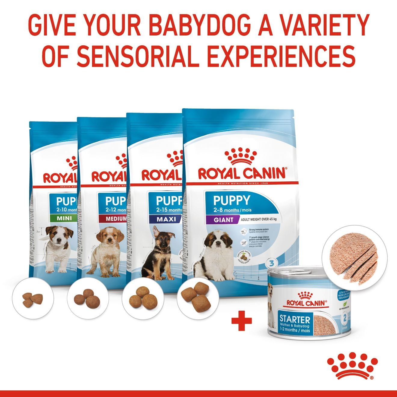 Royal Canin Starter Mother & Babydog Ultra Soft Mousse In Sauce Wet Dog Food 24 x 145g | AUESM5824