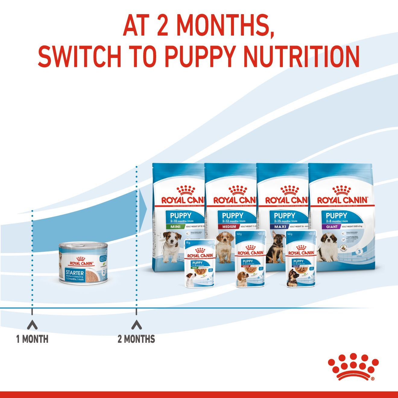 Royal Canin Starter Mother & Babydog Ultra Soft Mousse In Sauce Wet Dog Food 24 x 145g | AUESM5824