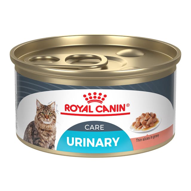 Royal Canin Urinary Care Thin Slices In Gravy Canned Wet Cat Food 6 x 85g | UWJTB5372