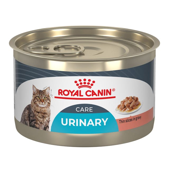 Royal Canin Urinary Care Thin Slices In Gravy Canned Wet Cat Food 26 x 145g | CWPEZ1304