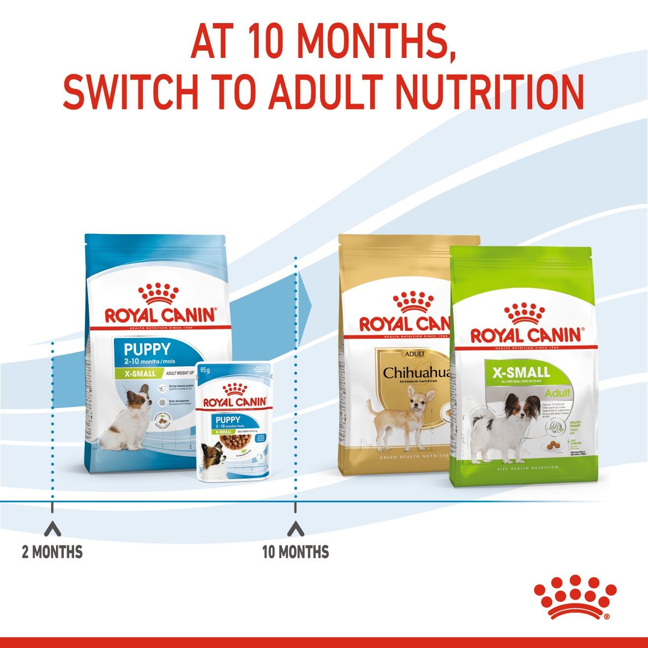 Royal Canin X-Small Puppy Dry Dog Food 1.5kg | SWMVL4786