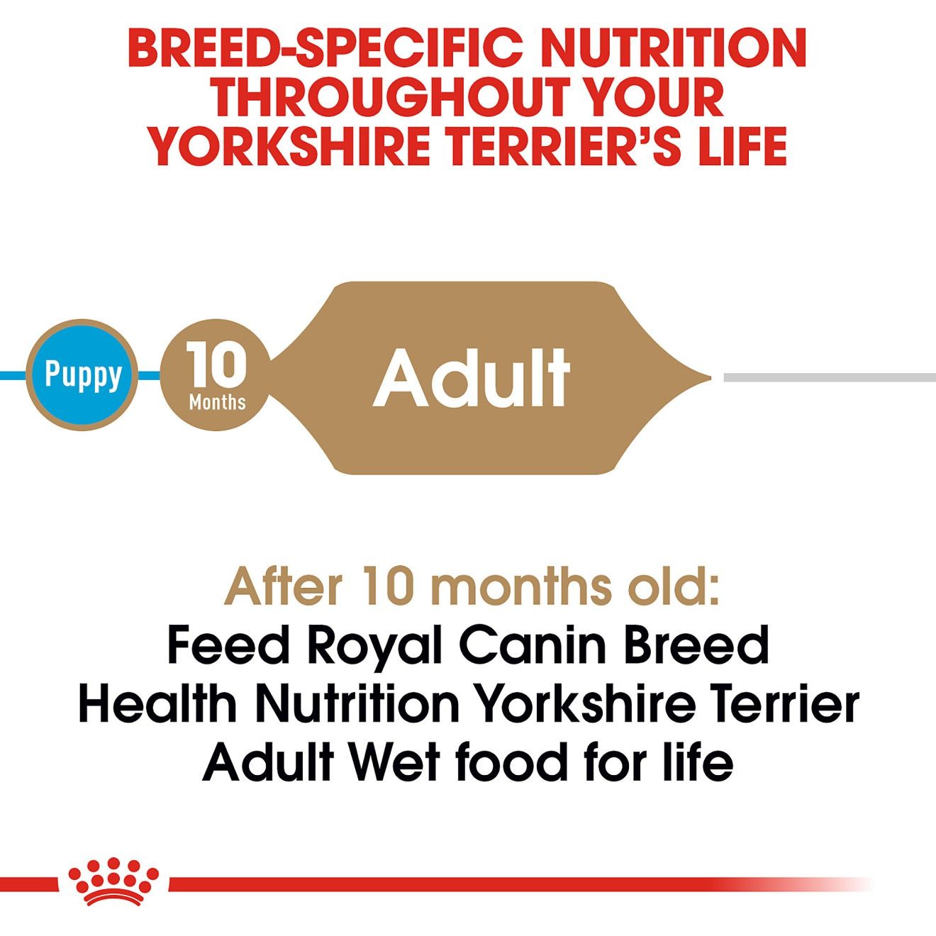 Royal Canin Yorkshire Terrier Adult Loaf in Sauce Canned Wet Dog Food 4 x 85g | SAITR6751