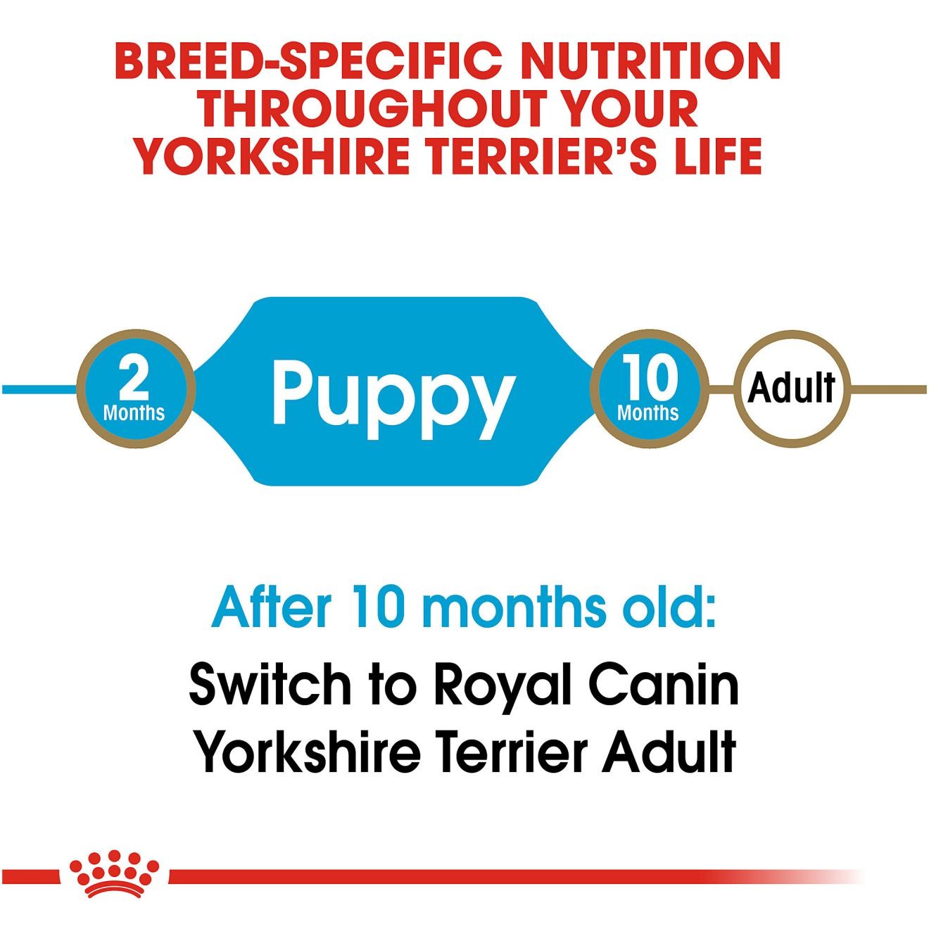 Royal Canin Yorkshire Terrier Puppy Dry Dog Food 1kg | MYXDQ5906